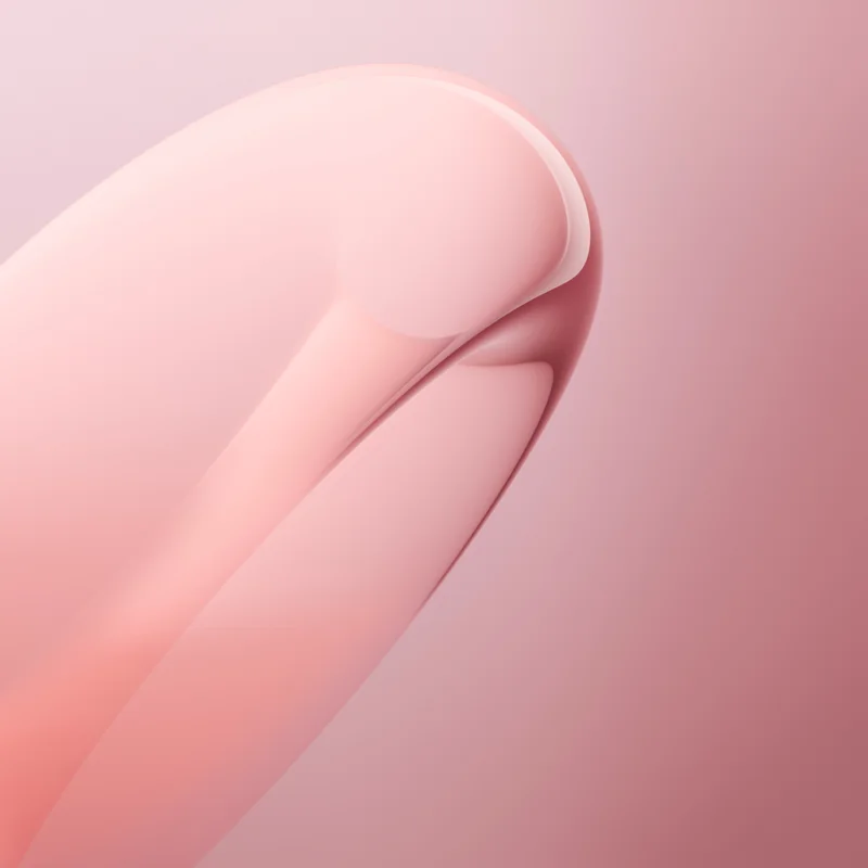 Huawei Nova Flip Wallpaper