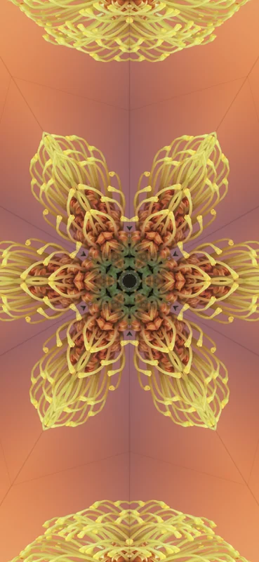 iOS 17 Kaleidoscope Wallpaper