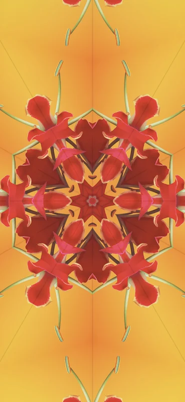 iOS 17 Kaleidoscope Wallpaper