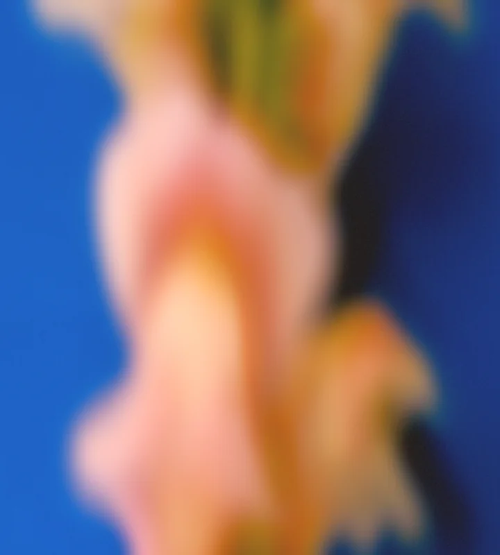 Google Pixel 6a Wallpaper