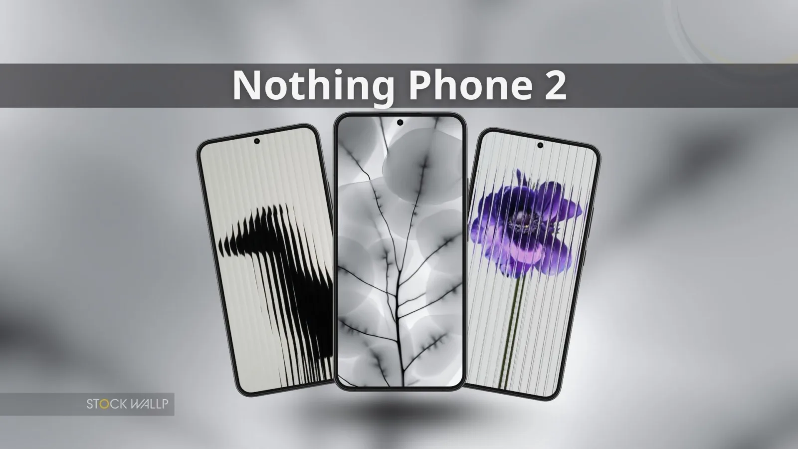 Nothing Phone 2 Stock Wallpapers