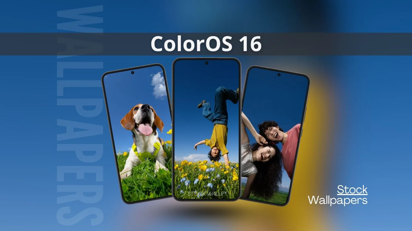 ColorOS 16 Stock Wallpapers