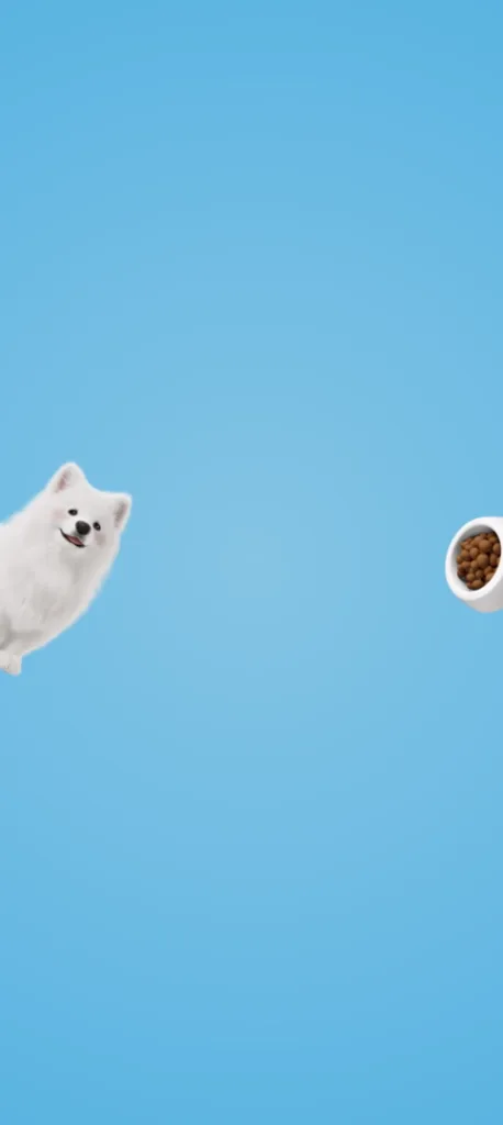 Honor Magic 8 wallpaper 28 with Blue and Animal at QHD 1256 × 2808 pixels