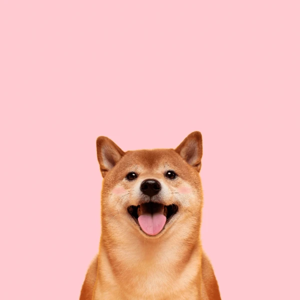 Samsung Galaxy Z Fold 8 wallpaper 9 - Pink Animal design