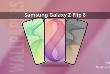 Samsung Galaxy Z Flip 8 Stock Wallpapers